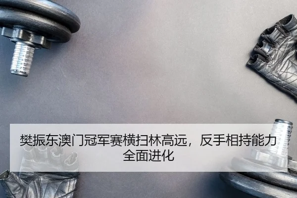 樊振东澳门冠军赛横扫林高远，反手相持能力全面进化